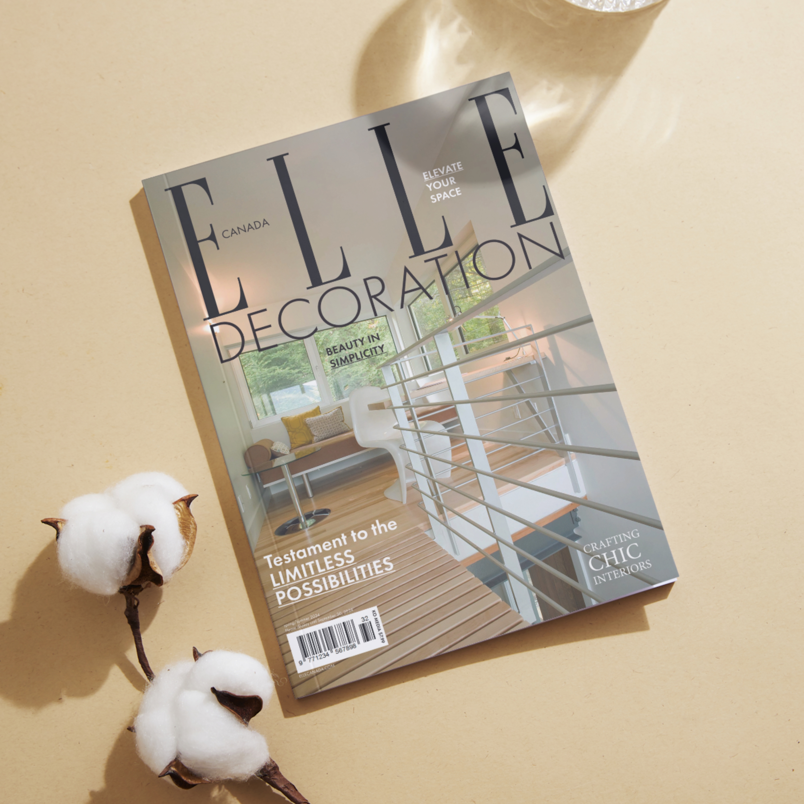 Magazine cover for Elle Decoration Canada concept design